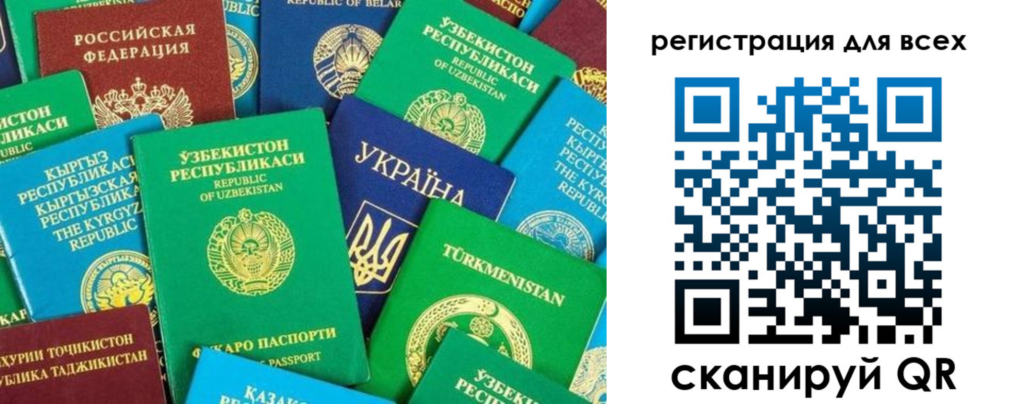 временная регистрация поиск в Петушках